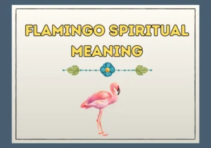 Flamingo Spiritual Meaning