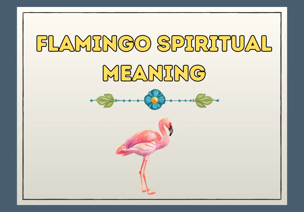 Flamingo Spiritual Meaning