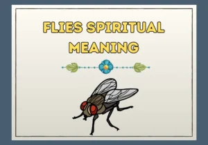 Flies Spiritual Meaning