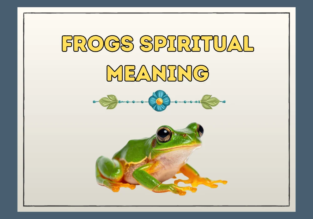 Frogs Spiritual Meaning