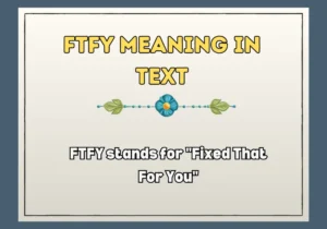 Ftfy Meaning In Text