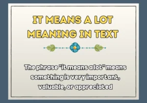 It Means A Lot Meaning In Text
