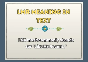 Lmr Meaning In Text