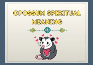 Opossum Spiritual Meaning