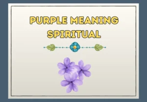 Purple Meaning Spiritual