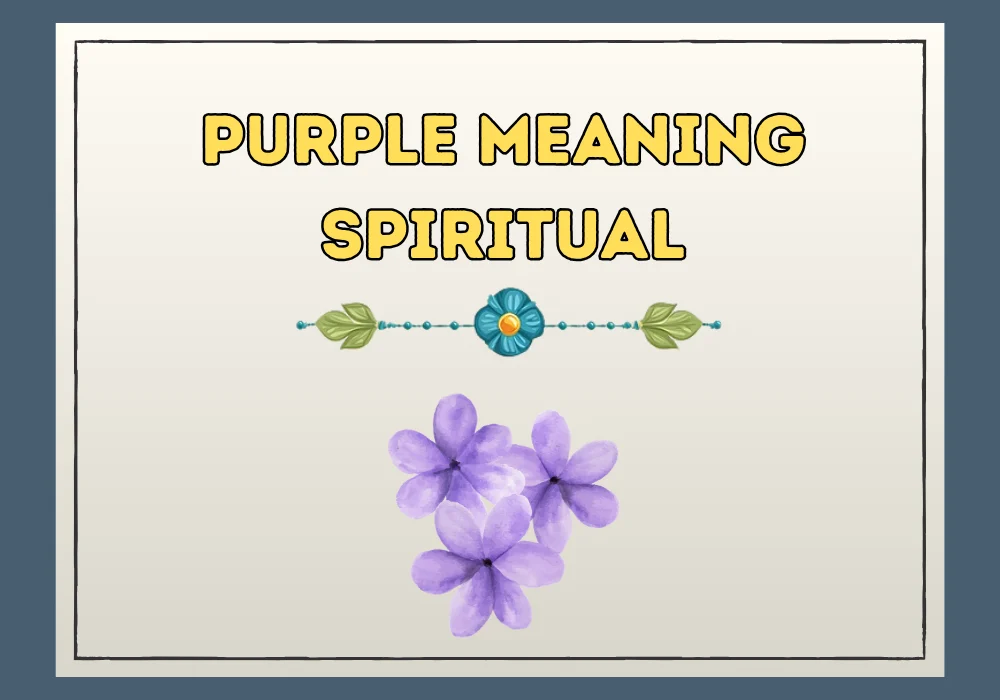Purple Meaning Spiritual
