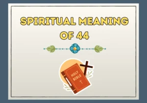 Spiritual Meaning of 44