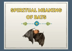 Spiritual Meaning of Bats
