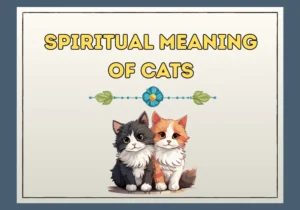 Spiritual Meaning of Cats