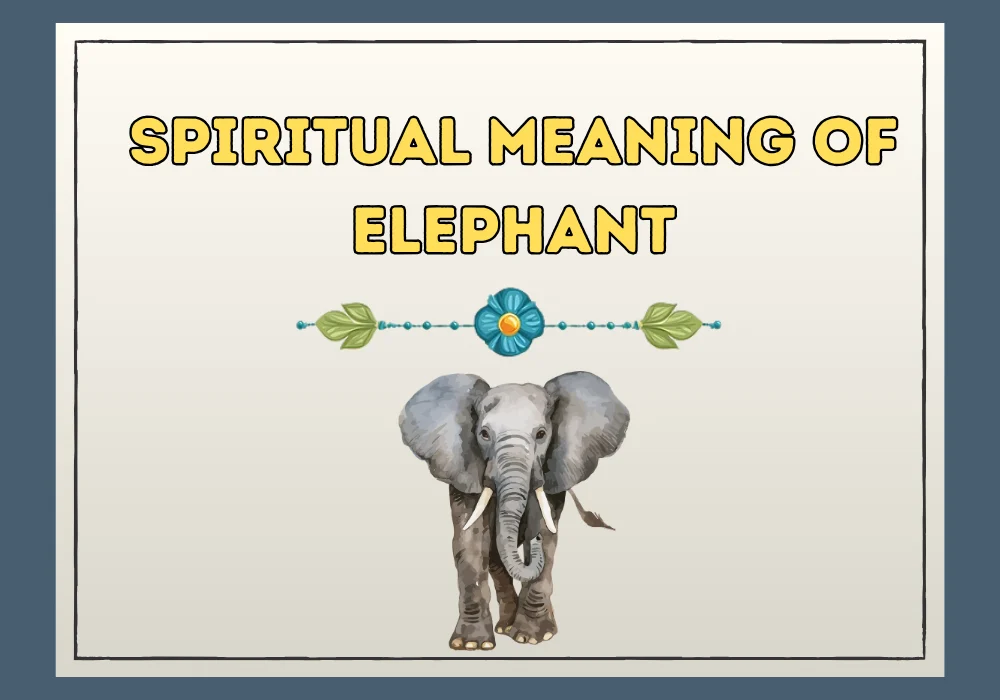 Spiritual Meaning of Elephant