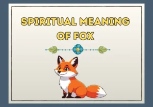 Spiritual Meaning Of Fox