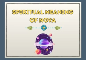 Spiritual Meaning of Nova