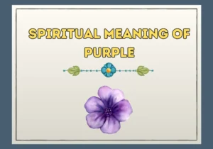 Spiritual Meaning Of Purple