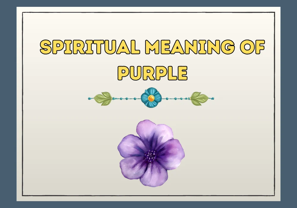 Spiritual Meaning Of Purple