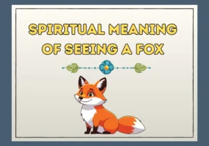 Spiritual Meaning Of Seeing A Fox