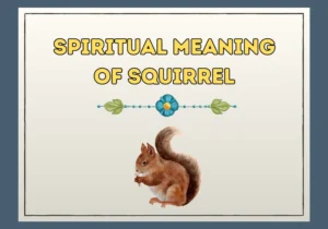 Spiritual Meaning Of Squirrel