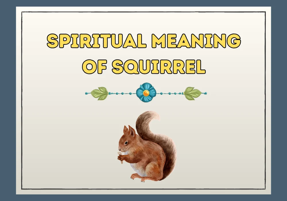 Spiritual Meaning Of Squirrel