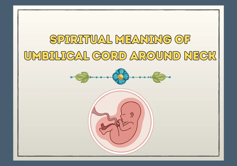 Spiritual Meaning Of Umbilical Cord Around Neck