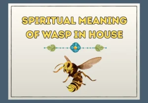 Spiritual Meaning of Wasp in House