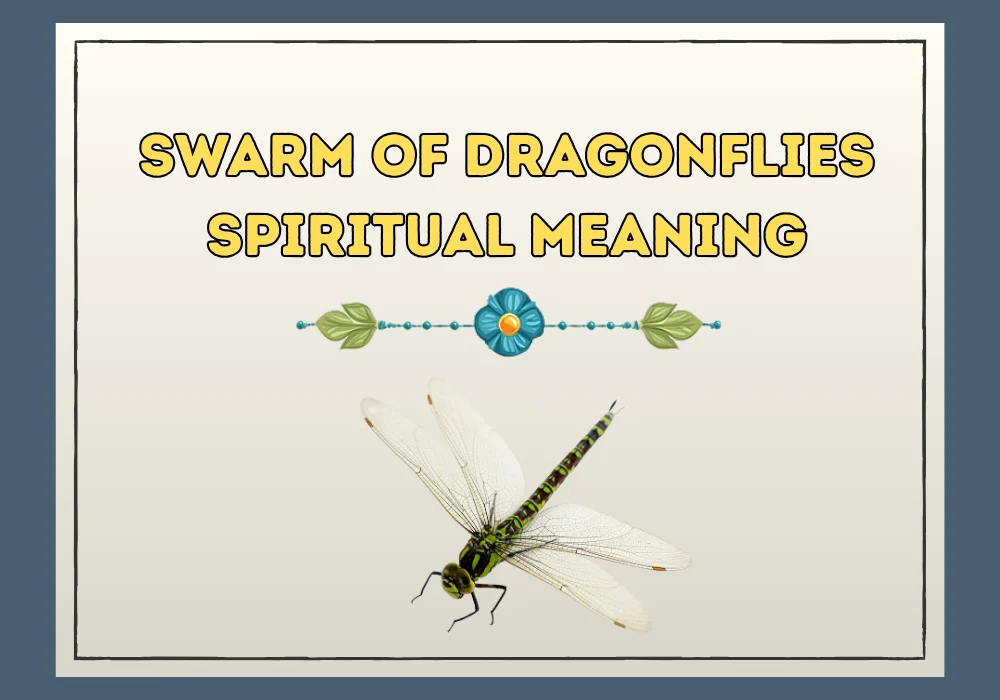 Swarm of Dragonflies Spiritual Meaning