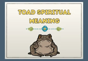 Toad Spiritual Meaning