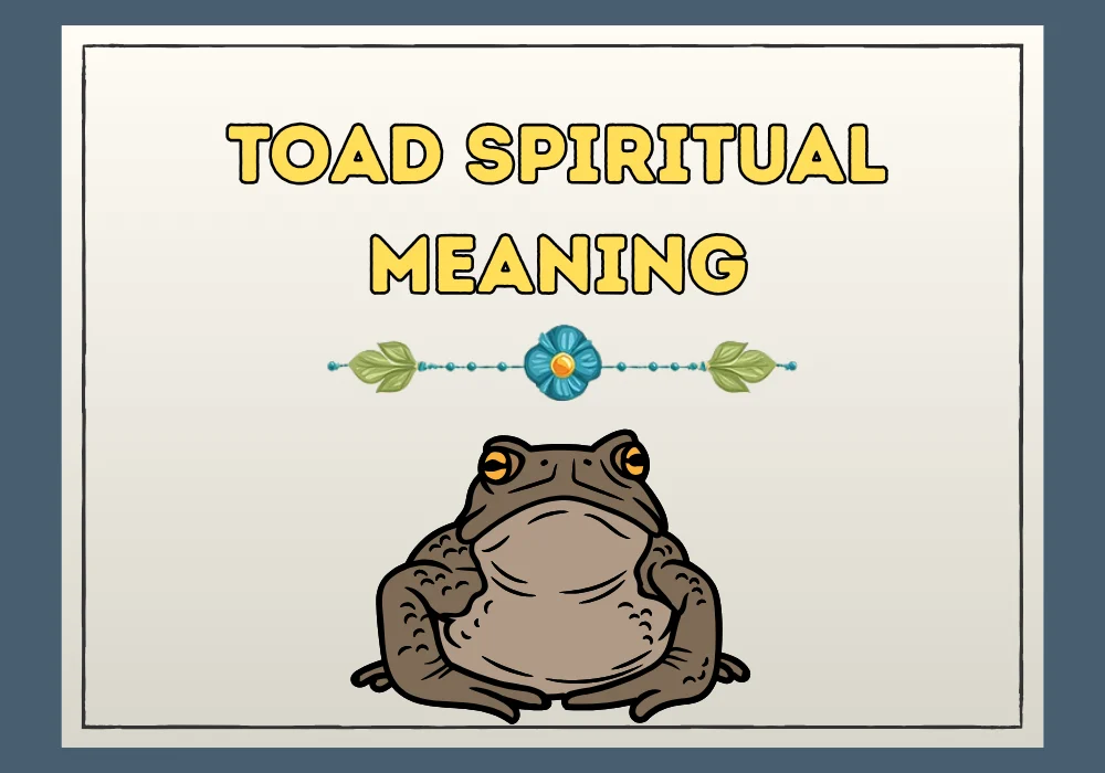 Toad Spiritual Meaning
