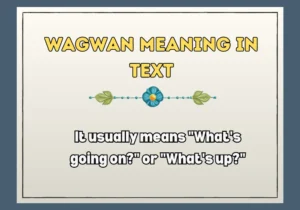 Wagwan Meaning In Text
