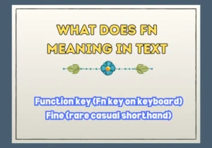 What Does Fn Meaning In Text