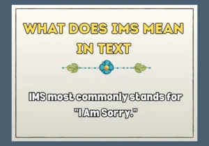 What Does Ims Mean in Text