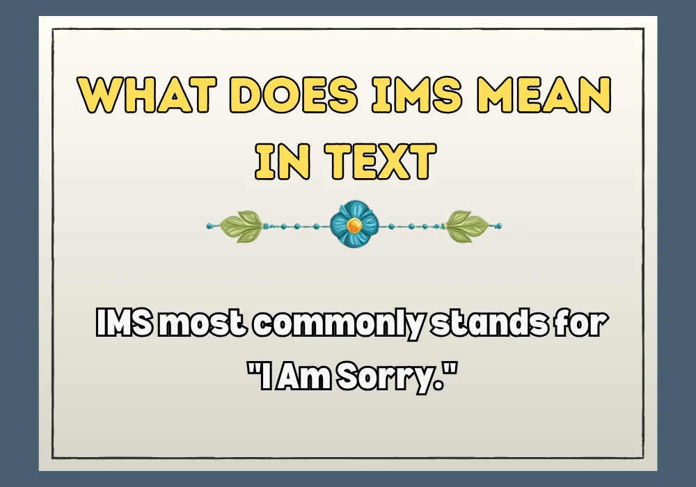 What Does Ims Mean in Text