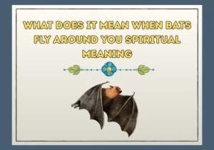 What Does It Mean When Bats Fly Around You Spiritual Meaning