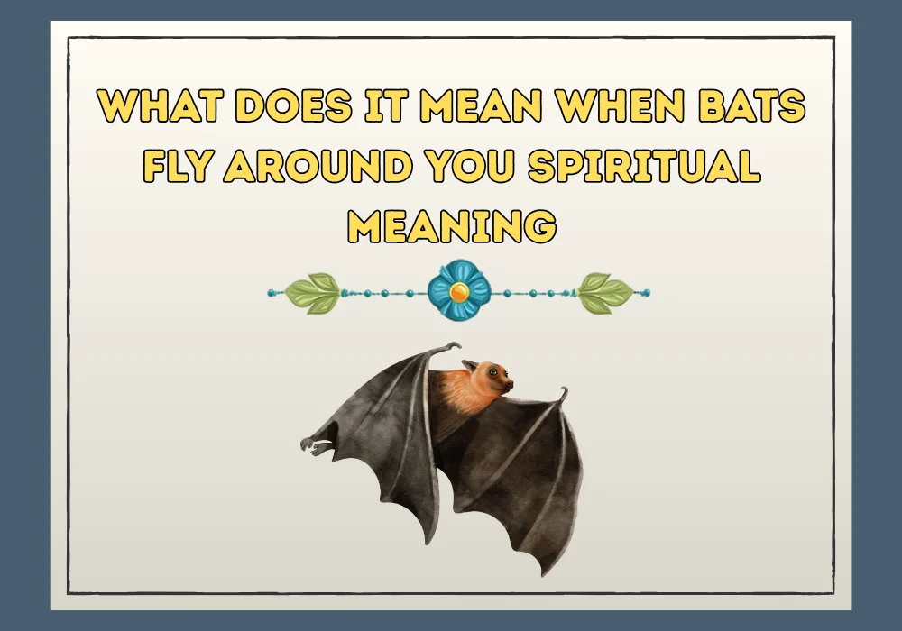What Does It Mean When Bats Fly Around You Spiritual Meaning