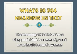 Whats Is 304 Meaning In Text